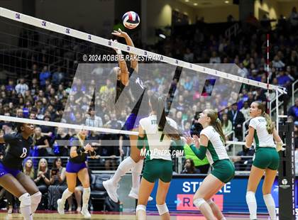 Thumbnail 2 in Byron Nelson vs. Stratford (UIL 6A Volleyball Division II Final) photogallery.