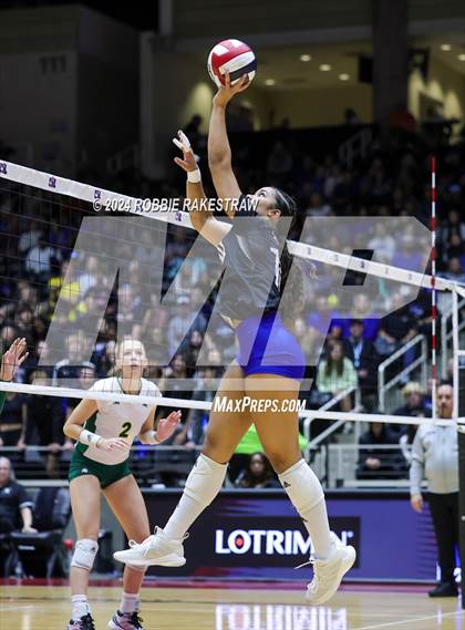 Thumbnail 2 in Byron Nelson vs. Stratford (UIL 6A Volleyball Division II Final) photogallery.