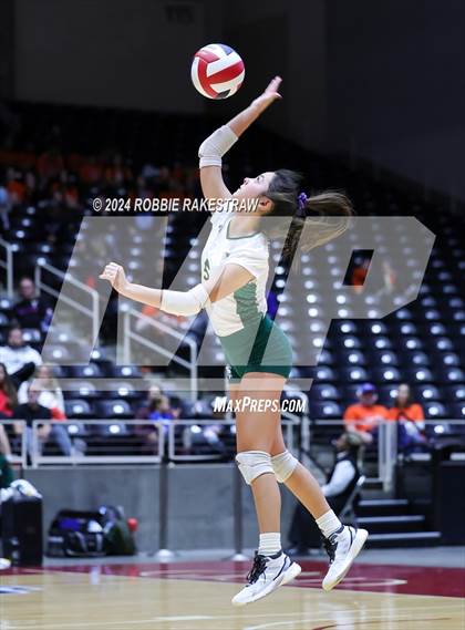 Thumbnail 2 in Byron Nelson vs. Stratford (UIL 6A Volleyball Division II Final) photogallery.