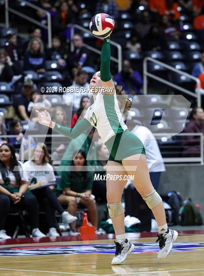 Thumbnail 3 in Byron Nelson vs. Stratford (UIL 6A Volleyball Division II Final) photogallery.