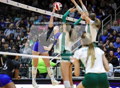 Thumbnail 1 in Byron Nelson vs. Stratford (UIL 6A Volleyball Division II Final) photogallery.