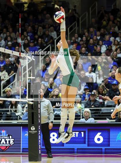 Thumbnail 2 in Byron Nelson vs. Stratford (UIL 6A Volleyball Division II Final) photogallery.