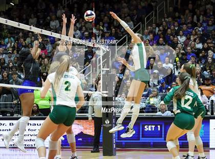 Thumbnail 2 in Byron Nelson vs. Stratford (UIL 6A Volleyball Division II Final) photogallery.