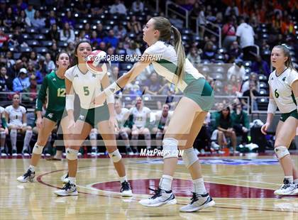 Thumbnail 3 in Byron Nelson vs. Stratford (UIL 6A Volleyball Division II Final) photogallery.