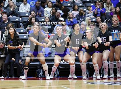 Thumbnail 3 in Byron Nelson vs. Stratford (UIL 6A Volleyball Division II Final) photogallery.