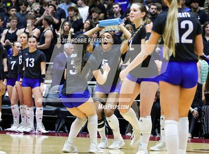 Thumbnail 1 in Byron Nelson vs. Stratford (UIL 6A Volleyball Division II Final) photogallery.