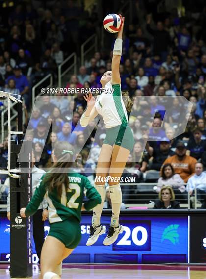 Thumbnail 1 in Byron Nelson vs. Stratford (UIL 6A Volleyball Division II Final) photogallery.