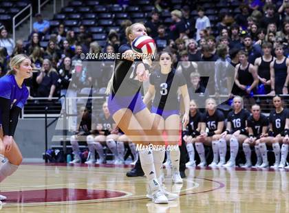 Thumbnail 3 in Byron Nelson vs. Stratford (UIL 6A Volleyball Division II Final) photogallery.