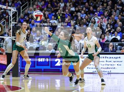 Thumbnail 3 in Byron Nelson vs. Stratford (UIL 6A Volleyball Division II Final) photogallery.