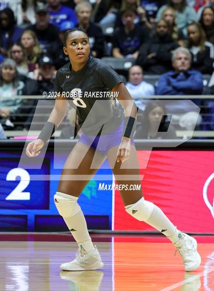 Thumbnail 1 in Byron Nelson vs. Stratford (UIL 6A Volleyball Division II Final) photogallery.