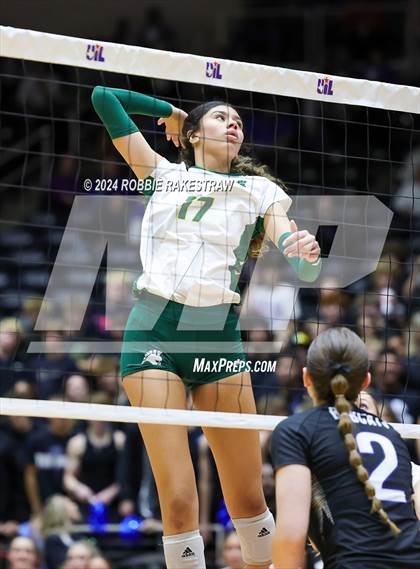 Thumbnail 1 in Byron Nelson vs. Stratford (UIL 6A Volleyball Division II Final) photogallery.