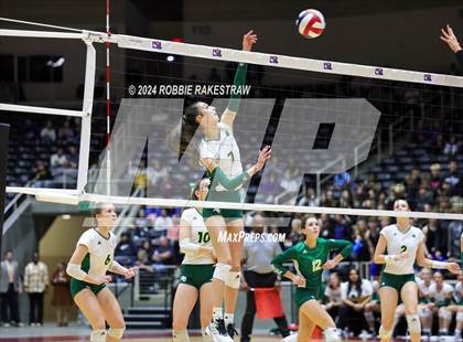 Thumbnail 1 in Byron Nelson vs. Stratford (UIL 6A Volleyball Division II Final) photogallery.