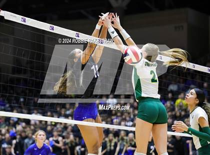 Thumbnail 1 in Byron Nelson vs. Stratford (UIL 6A Volleyball Division II Final) photogallery.
