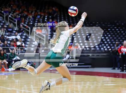 Thumbnail 1 in Byron Nelson vs. Stratford (UIL 6A Volleyball Division II Final) photogallery.