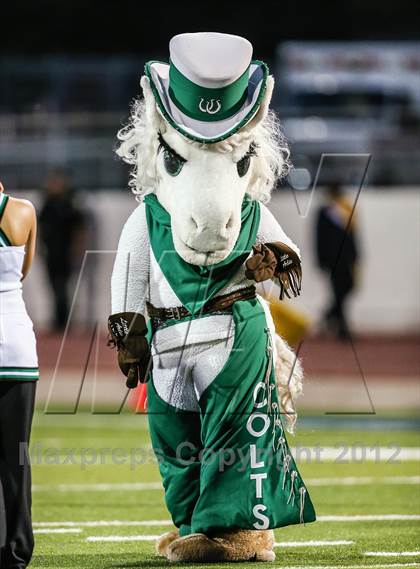 Thumbnail 2 in Lamar @ Arlington photogallery.