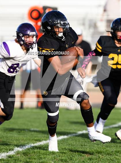 Thumbnail 3 in Johansen @ Lathrop photogallery.