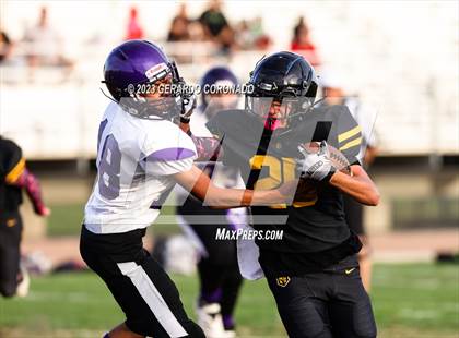 Thumbnail 1 in Johansen @ Lathrop photogallery.
