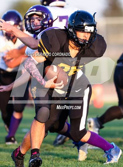 Thumbnail 2 in Johansen @ Lathrop photogallery.