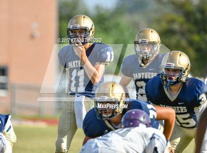 Thumbnail 2 in Warren @ O'Connor photogallery.