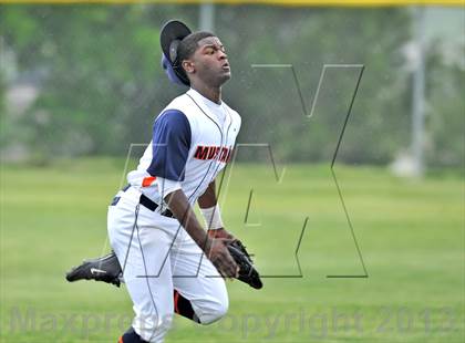 Thumbnail 1 in Naaman Forest @ Sachse photogallery.