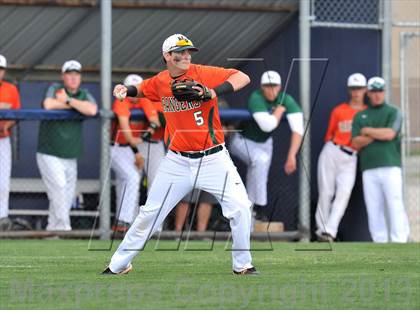 Thumbnail 3 in Naaman Forest @ Sachse photogallery.