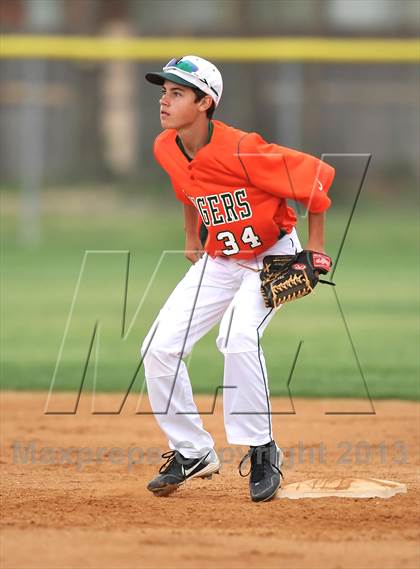 Thumbnail 1 in Naaman Forest @ Sachse photogallery.