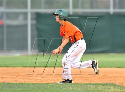 Thumbnail 1 in Naaman Forest @ Sachse photogallery.