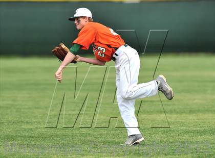Thumbnail 1 in Naaman Forest @ Sachse photogallery.