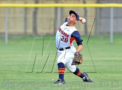Thumbnail 1 in Naaman Forest @ Sachse photogallery.