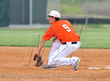 Thumbnail 2 in Naaman Forest @ Sachse photogallery.