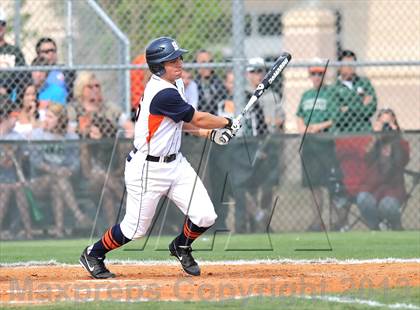Thumbnail 1 in Naaman Forest @ Sachse photogallery.