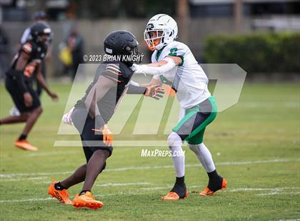 Thumbnail 2 in Fort Myers at Lake Wales (Spring Game) photogallery.