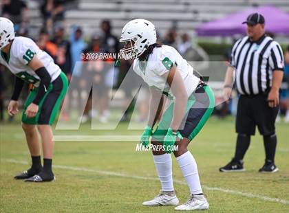 Thumbnail 1 in Fort Myers at Lake Wales (Spring Game) photogallery.