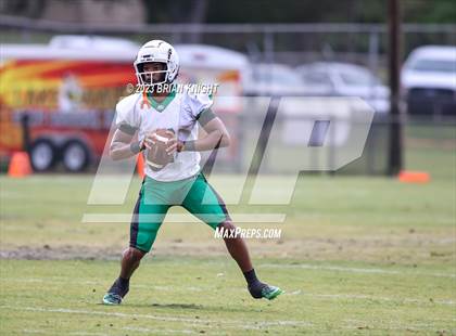 Thumbnail 1 in Fort Myers at Lake Wales (Spring Game) photogallery.