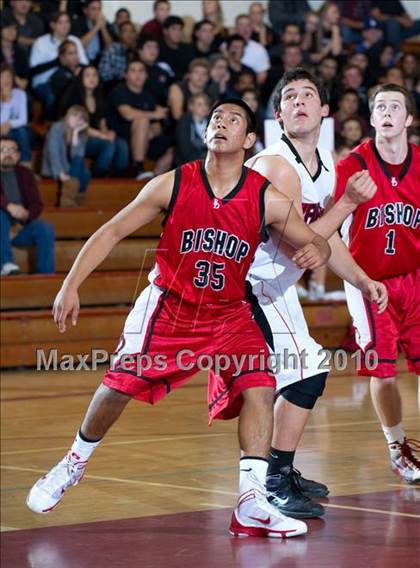 Thumbnail 1 in Bishop Diego @ Carpinteria photogallery.