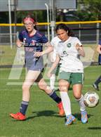 Photo from the gallery "Terry Sanford @ Pine Forest"