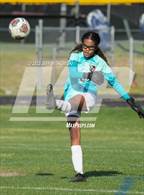 Photo from the gallery "Terry Sanford @ Pine Forest"