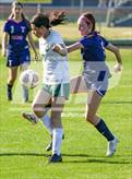 Photo from the gallery "Terry Sanford @ Pine Forest"