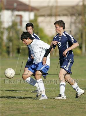Thumbnail 1 in Palisades @ LACES photogallery.