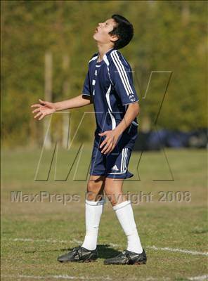 Thumbnail 2 in Palisades @ LACES photogallery.