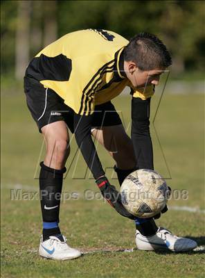 Thumbnail 1 in Palisades @ LACES photogallery.