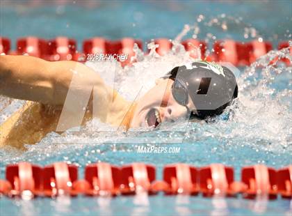 Thumbnail 1 in CHSAA 5A State Swimming (Prelims) photogallery.