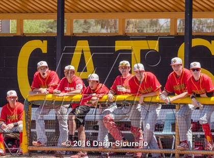 Thumbnail 3 in Chaparral @ Saguaro photogallery.