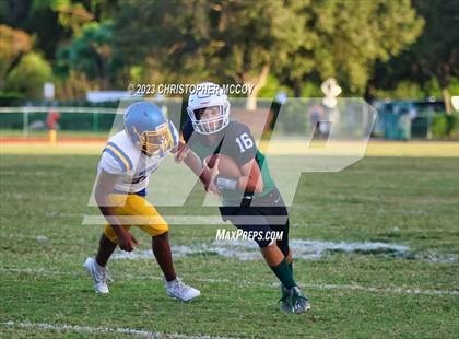 Thumbnail 3 in Bayshore @ Lakewood Ranch photogallery.