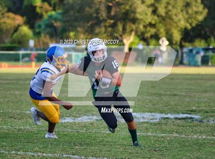 Thumbnail 2 in Bayshore @ Lakewood Ranch photogallery.