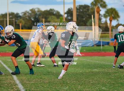 Thumbnail 2 in Bayshore @ Lakewood Ranch photogallery.