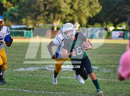 Thumbnail 3 in Bayshore @ Lakewood Ranch photogallery.