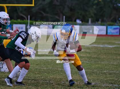 Thumbnail 2 in Bayshore @ Lakewood Ranch photogallery.