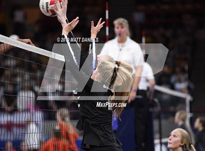 Thumbnail 1 in Grandview vs. Cherry Creek (CHSAA 5A Playoff) photogallery.