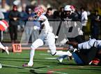 Photo from the gallery "Bloomfield @ Windsor"